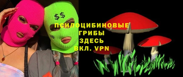 крисы Переславль-Залесский