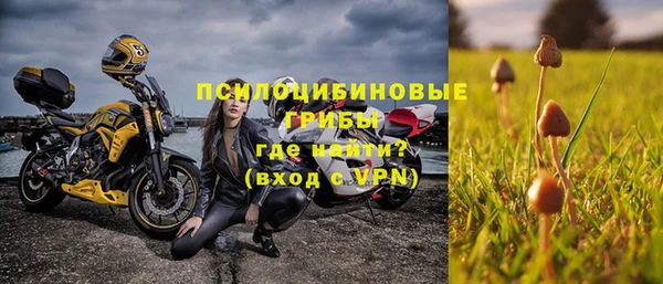 твердый Пестово
