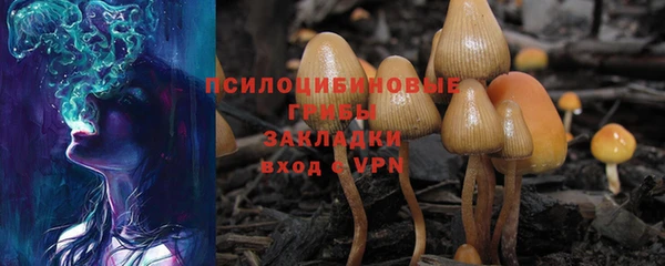 твердый Пестово