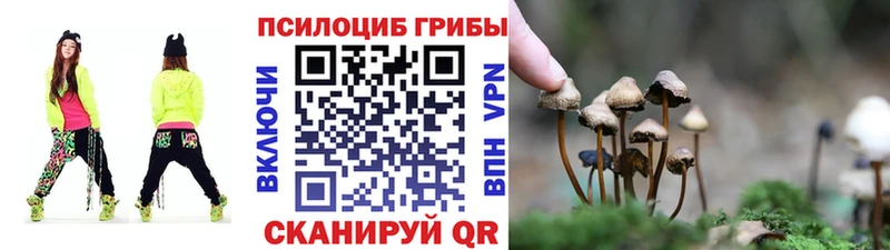 Псилоцибиновые грибы Psilocybe  что такое наркотик  Котельники 