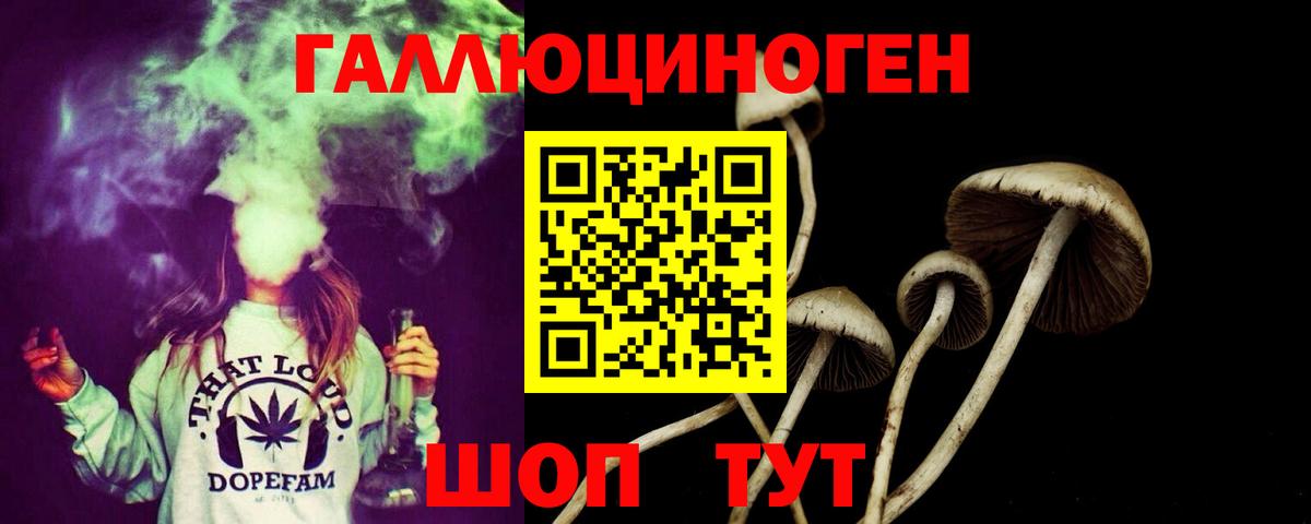 Псилоцибиновые грибы Psilocybe  Псилоцибиновые грибы Cubensis  Вход с VPN  Котельники 
